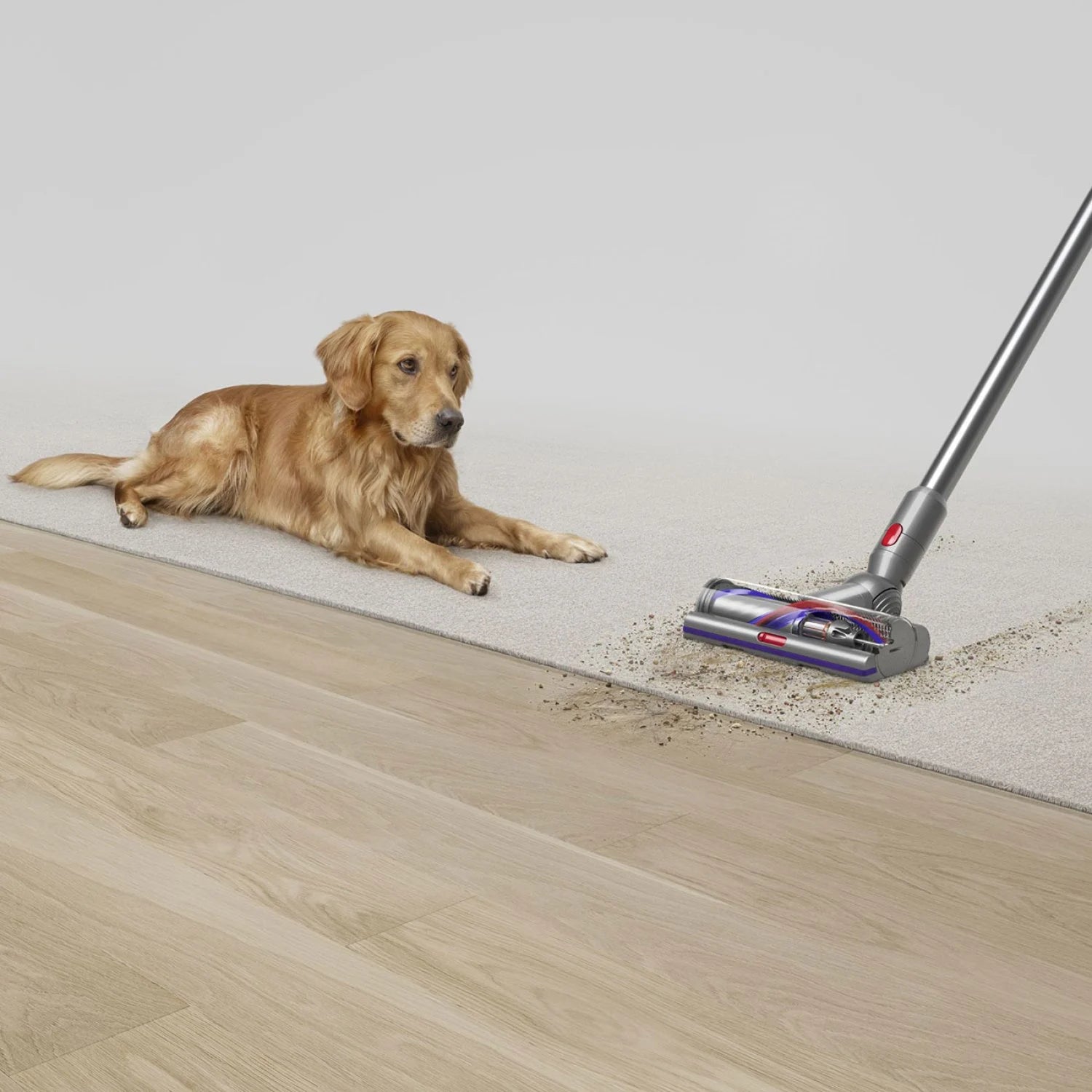 Dyson V15 Detect Absolute