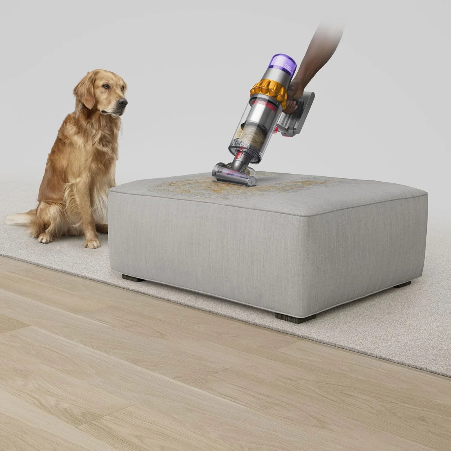 Dyson V15 Detect Absolute