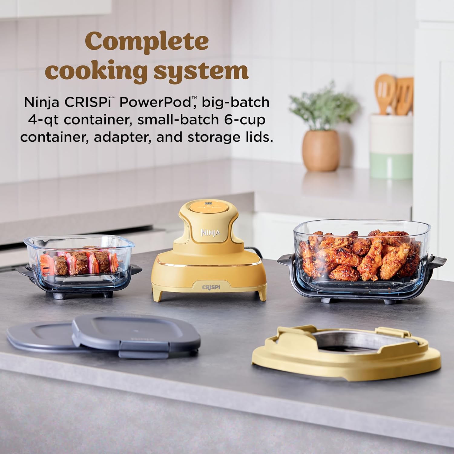 Ninja CRISPi 4-in-1 Portable Glass Air Fryer