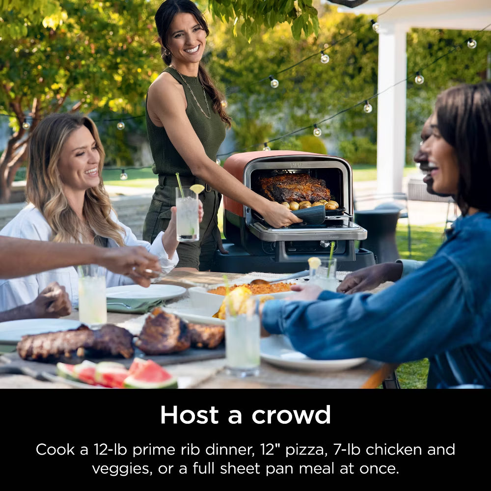 Ninja Woodfire 8-In-1 Electric Oven  Pizza Maker And BBQ Smoker OO101