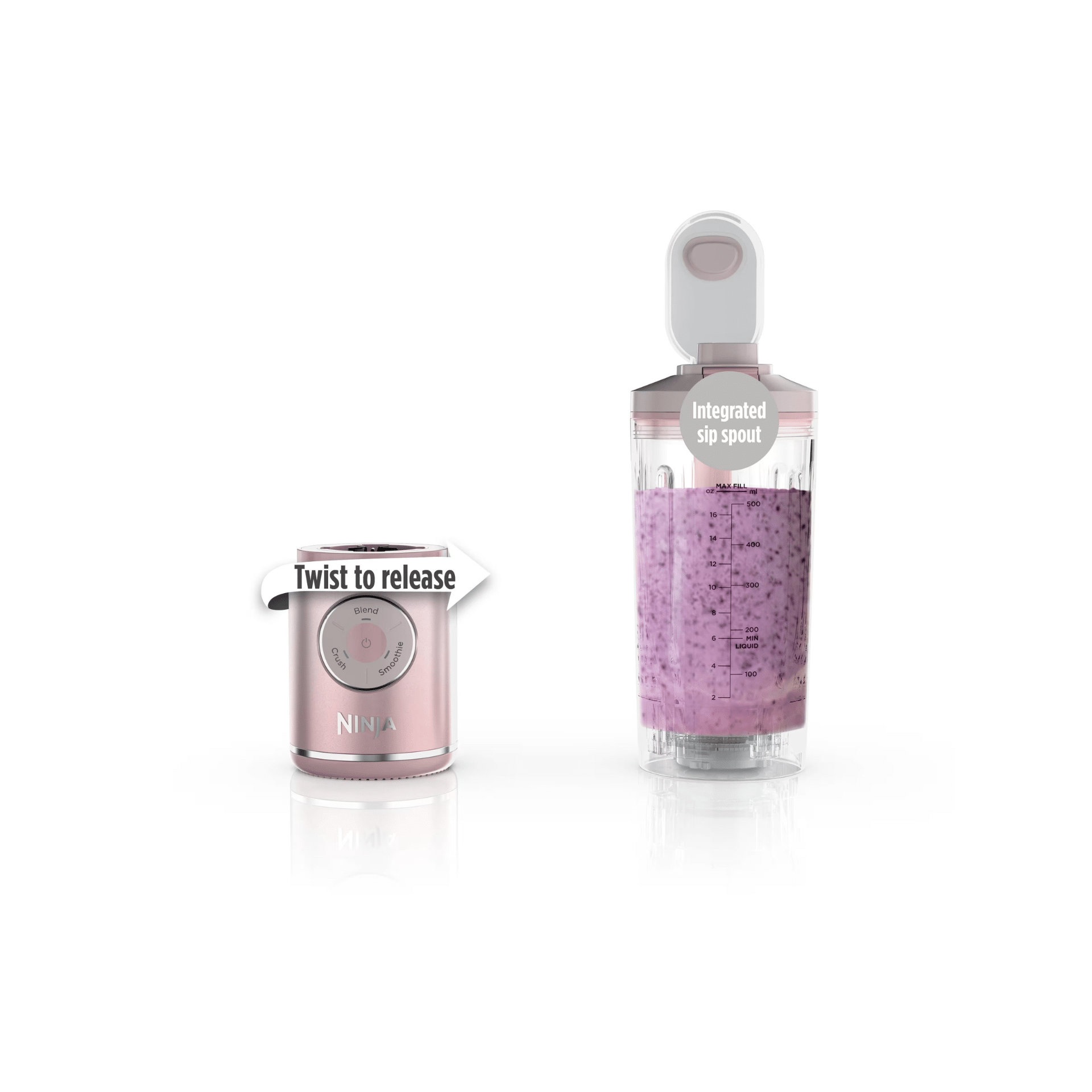 Ninja Blast Max BC251 Cordless Portable Blender 650ML