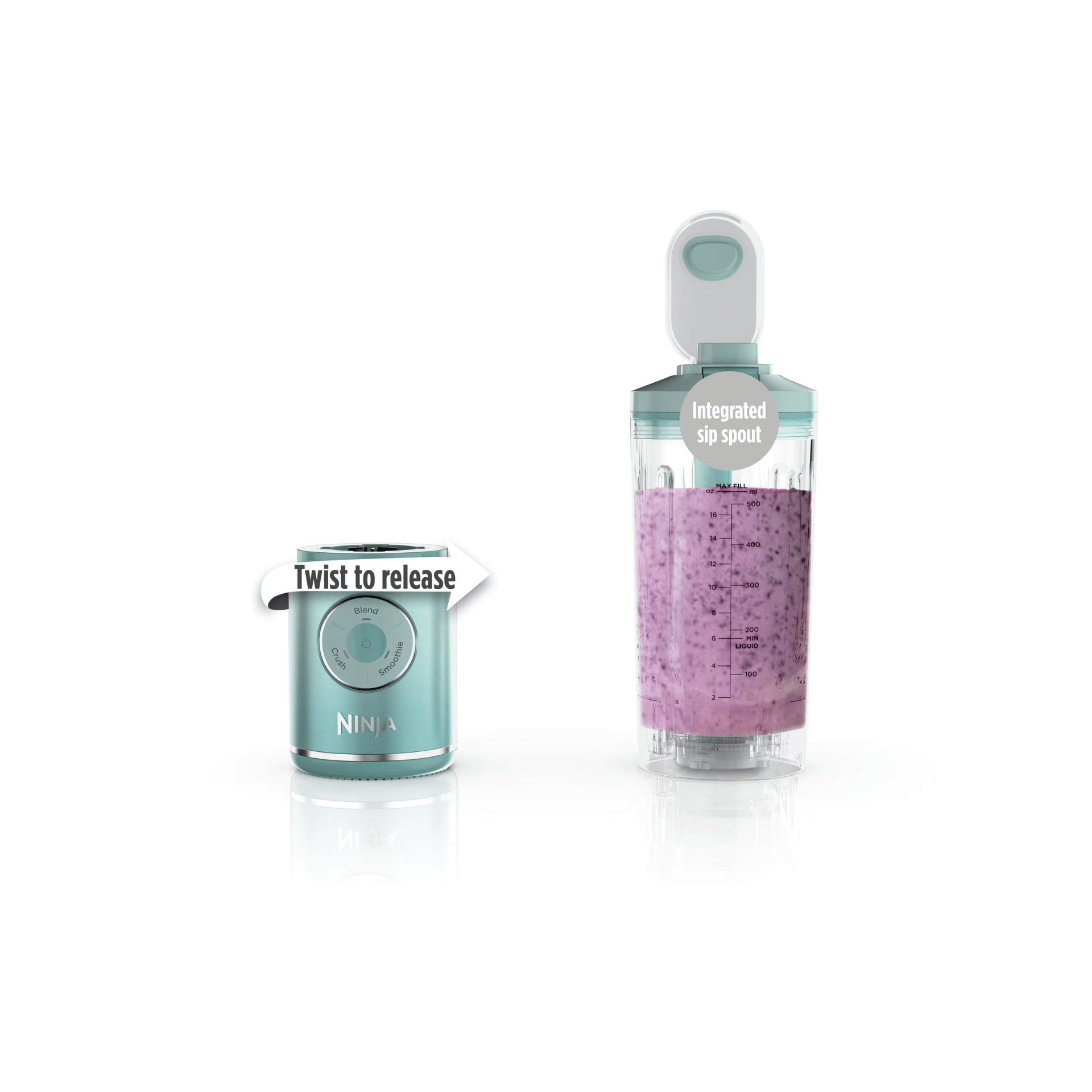 Ninja Blast Max BC251 Cordless Portable Blender 650ML