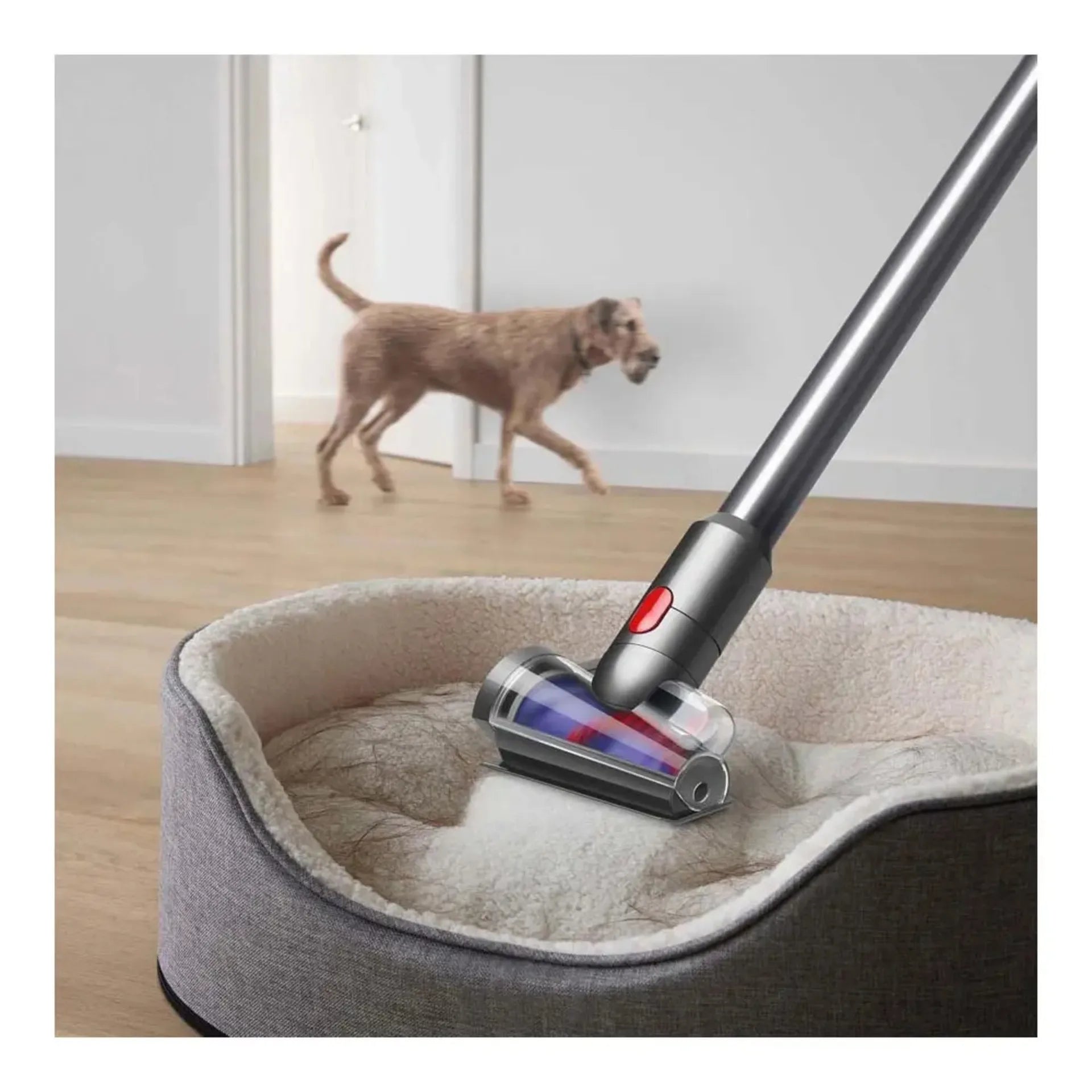 مكنسة دايسون V8 المطلقة