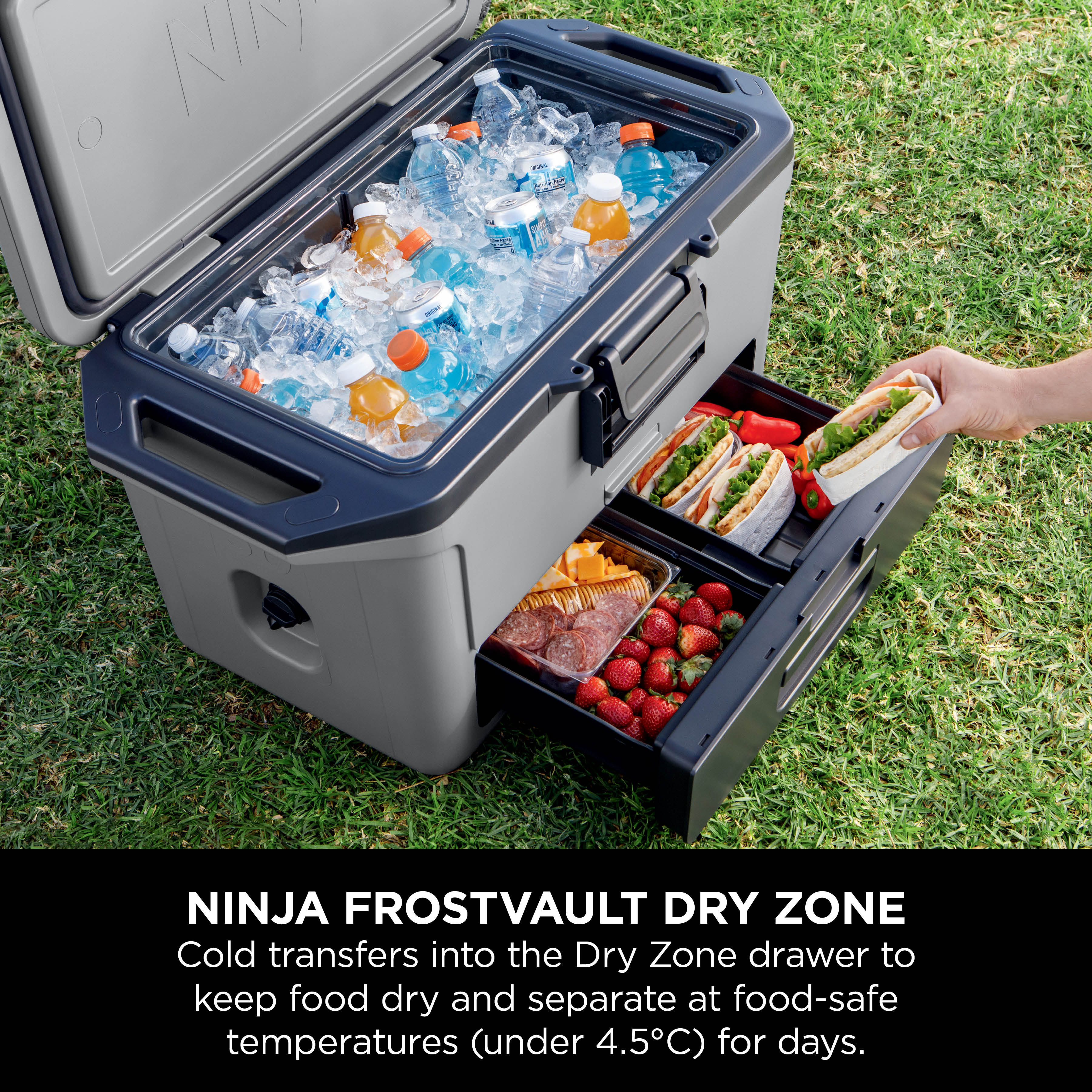 Ninja FrostVault 47L Hard Cooler